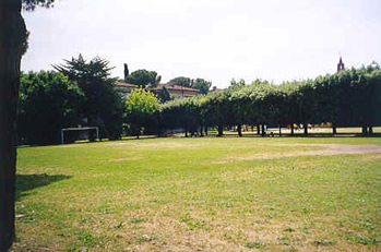 campo-calcio.jpg